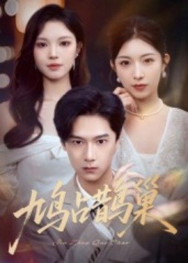 鳩占鵲巢&amp;amp;頂流夫人的致命陷阱